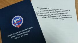 В Сахалинской области вступили в силу изменения в региональное трехстороннее соглашение, еще более расширяющие права и гарантии работников предприятий и организаций Сахалина и Курильских островов